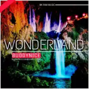 Buddynice - Wonderland (Redemial Mix)
